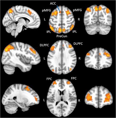 Multi-compartment diffusion magnetic resonance imaging models link tract-related characteristics with working memory performance in healthy older adults